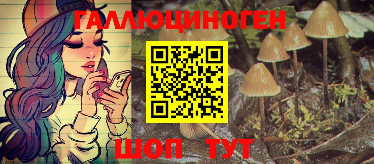 Псилоцибиновые грибы Psilocybine cubensis  Вход с VPN  Псилоцибиновые грибы мицелий  Протвино 